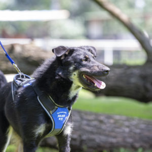 A62U2584_k A62U2584_k