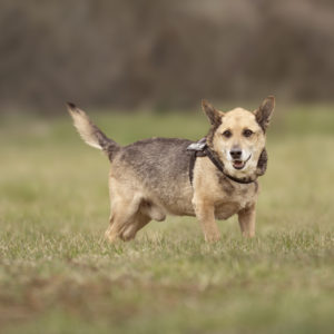 DSC04340_k DSC04340_k