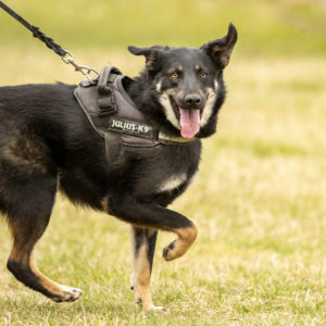 DSC04407_k DSC04407_k