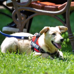 JUNIOR10_2 JUNIOR10_2