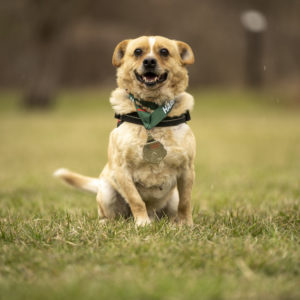 DSC04183_k DSC04183_k