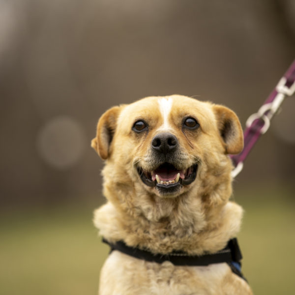 DSC04194_k DSC04194_k