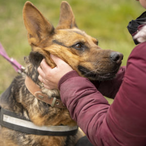 DSC04393_k DSC04393_k