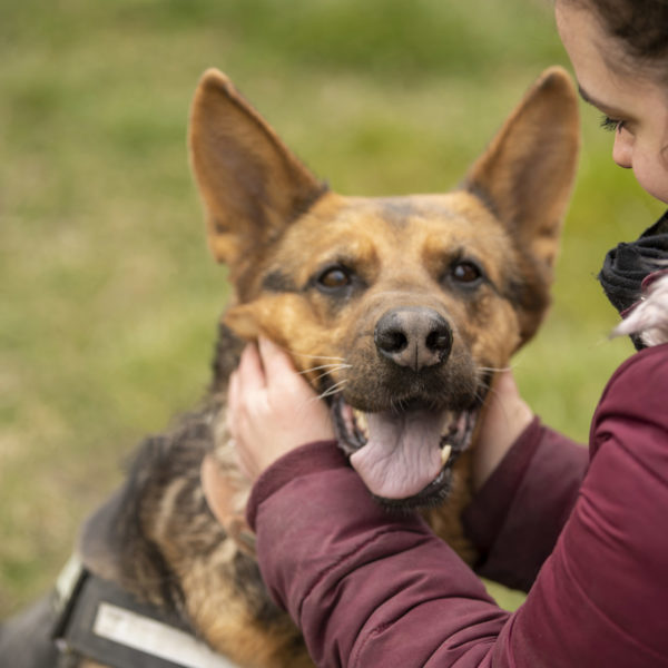 DSC04395_k DSC04395_k