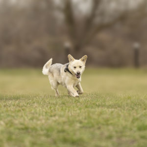 DSC04504_k DSC04504_k