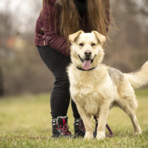 DSC04516_k DSC04516_k