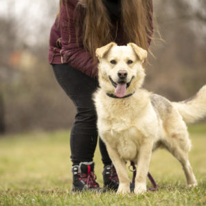 DSC04516_k DSC04516_k