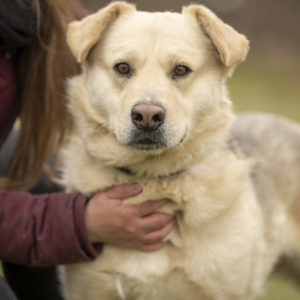 DSC04517_k DSC04517_k