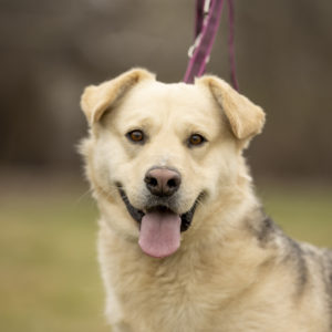 DSC04522_k DSC04522_k