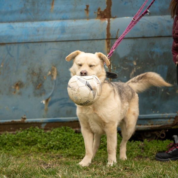 DSC04524_k DSC04524_k