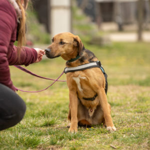 DSC03925__k DSC03925__k