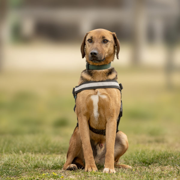 DSC03930_k DSC03930_k