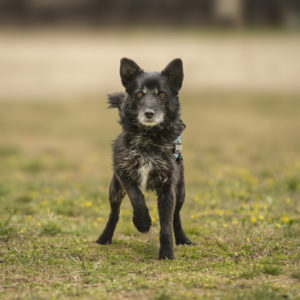 DSC03990_k DSC03990_k