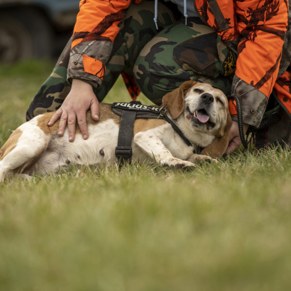 DSC04079_k DSC04079_k