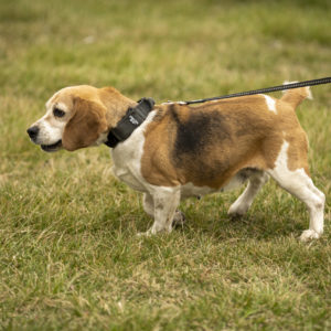 DSC04088_k DSC04088_k