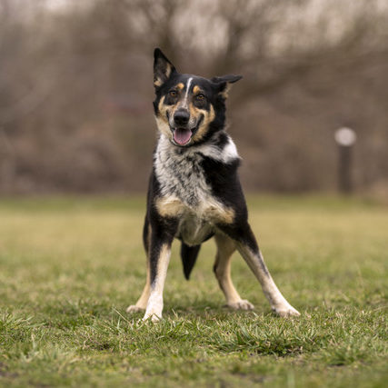 DSC04110_k DSC04110_k