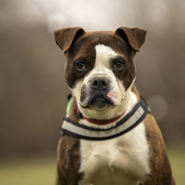 DSC04165_k DSC04165_k