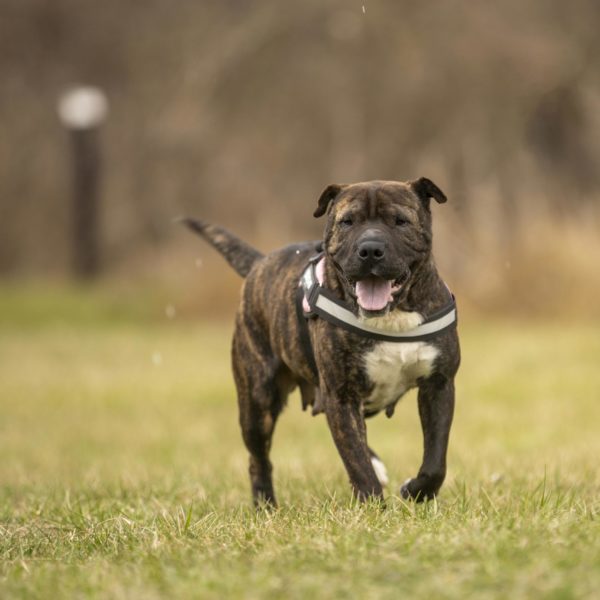 DSC04167-2 DSC04167-2