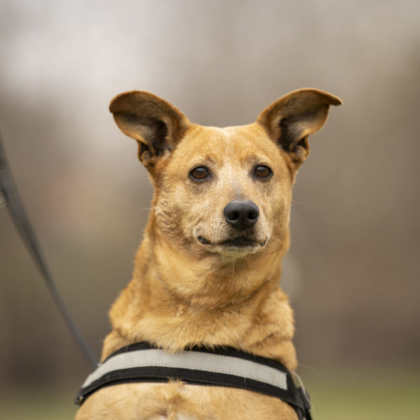 DSC04286_k DSC04286_k