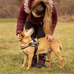 DSC04292_k DSC04292_k