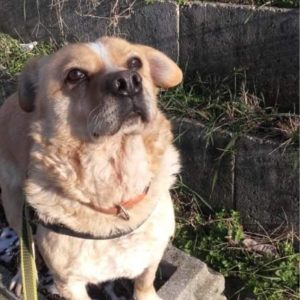 Gülüke_2021.03.05. Gülüke_2021.03.05.