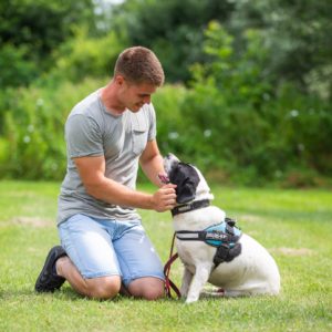 Sparko15_0 Sparko15_0