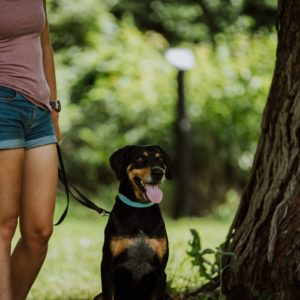 Bajnok10_0 Bajnok10_0