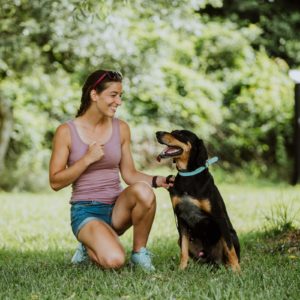 Bajnok11_0 Bajnok11_0