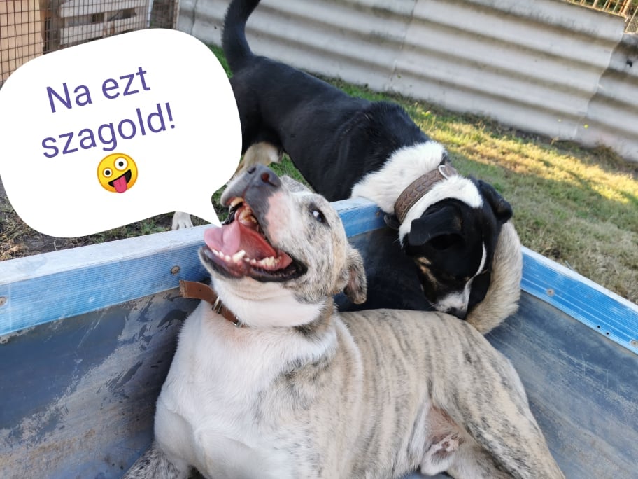 Marley-Teo_2021.10.20.