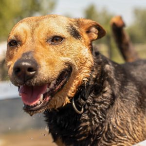 Jázmin14_0 Jázmin14_0