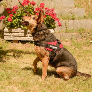 Jázmin18_0 Jázmin18_0