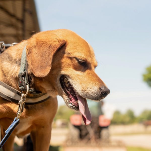 Ranger30_0 Ranger30_0