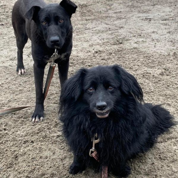 Luke-Cleo2 Luke-Cleo2