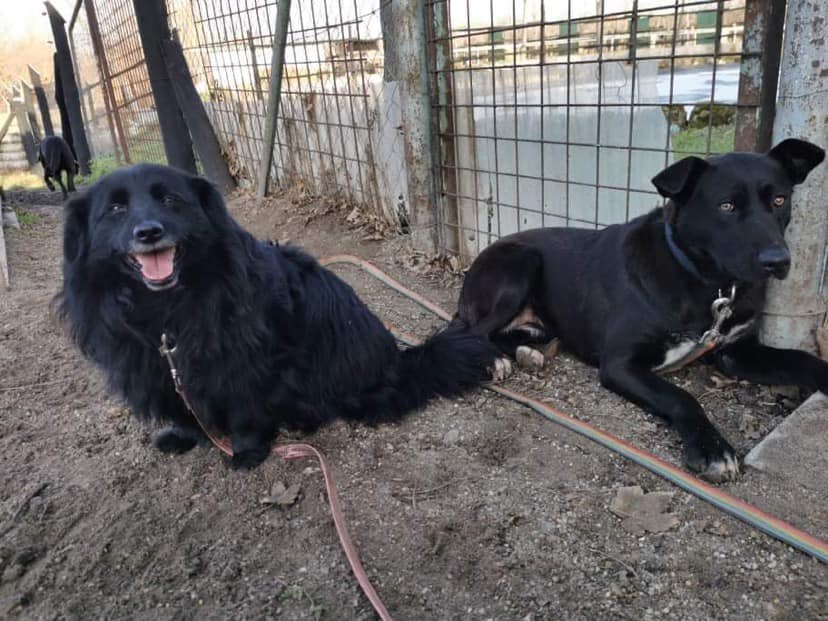 Luke-Cleo_2022.01.05.