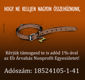 kép_Dina_2022.02.15.