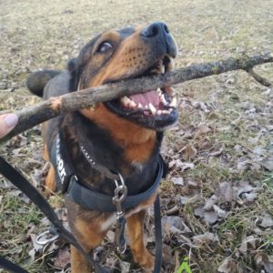 275229863_2153852351434973_1063441027240323888_n 275229863_2153852351434973_1063441027240323888_n