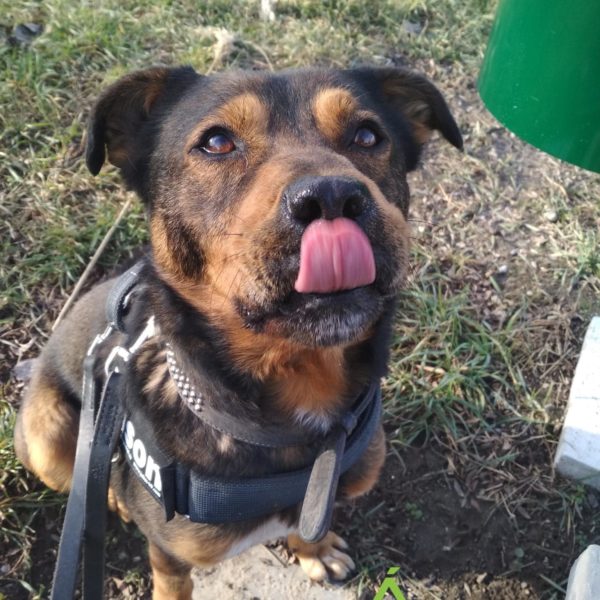 275300378_2153852364768305_4610079401354632034_n 275300378_2153852364768305_4610079401354632034_n