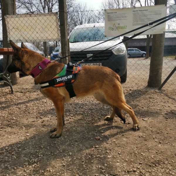 275722713_494886355676566_2144771009981938741_n 275722713_494886355676566_2144771009981938741_n