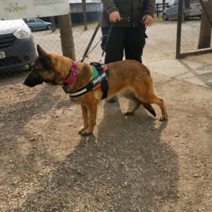 275808115_545933853410472_131692664403968786_n 275808115_545933853410472_131692664403968786_n