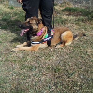 275834318_254771166868312_6391170430529681264_n 275834318_254771166868312_6391170430529681264_n