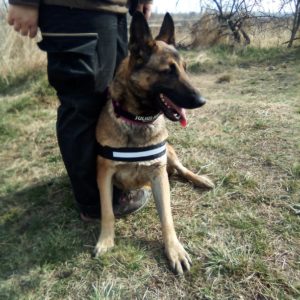 275987243_386186579628287_1418190118663496827_n 275987243_386186579628287_1418190118663496827_n