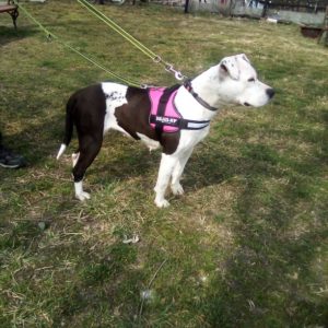 276000117_514883096867742_3473519892735483958_n 276000117_514883096867742_3473519892735483958_n