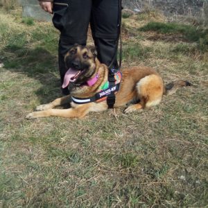 276027167_299305842346154_7750783705537398905_n 276027167_299305842346154_7750783705537398905_n