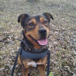 276047067_2153852341434974_1071198709462262073_n 276047067_2153852341434974_1071198709462262073_n