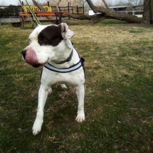 276061500_1600658760304342_6270323045940252695_n 276061500_1600658760304342_6270323045940252695_n