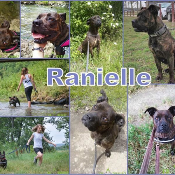 274129856_2131319863688222_1031916551627707220_n 274129856_2131319863688222_1031916551627707220_n