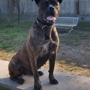 274131089_2131319883688220_6293463245928571145_n 274131089_2131319883688220_6293463245928571145_n