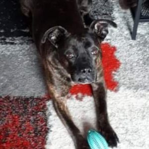 274232032_2131319930354882_1385067685160109041_n 274232032_2131319930354882_1385067685160109041_n