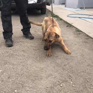 277523287_2162534923900049_8478626978672102582_n 277523287_2162534923900049_8478626978672102582_n