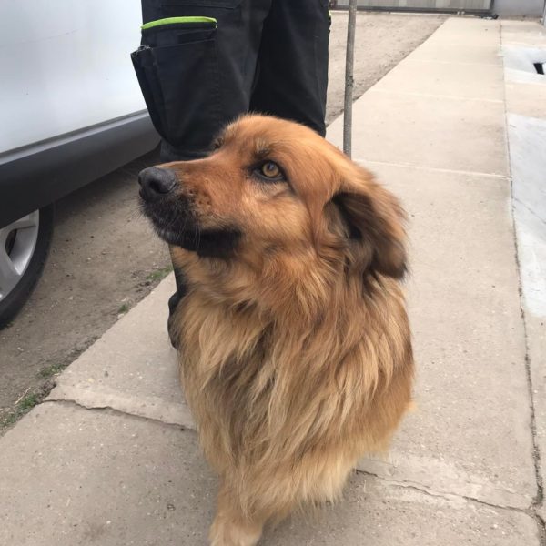 277562825_2162534690566739_9028523547746539790_n 277562825_2162534690566739_9028523547746539790_n